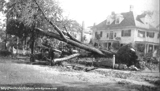 Hurricane damage on Washington Street (looking northeast at the original Wellesley Inn annex building from the current site of Blue Ginger) (Source: 1939 Wellesley College Legenda via archive.org)